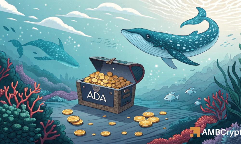 鲸鱼抛售 3000 万 ADA，Cardano 为何面临 0.70 美元风险