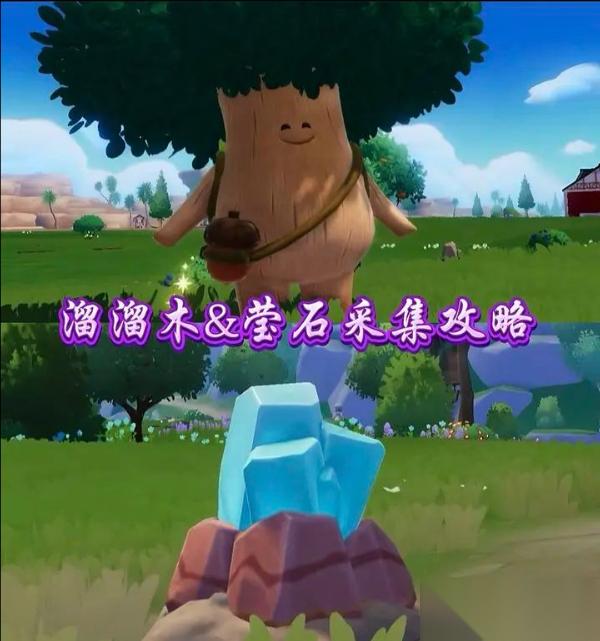 9月9日心动小镇溜溜橡木和无暇荧石在哪里