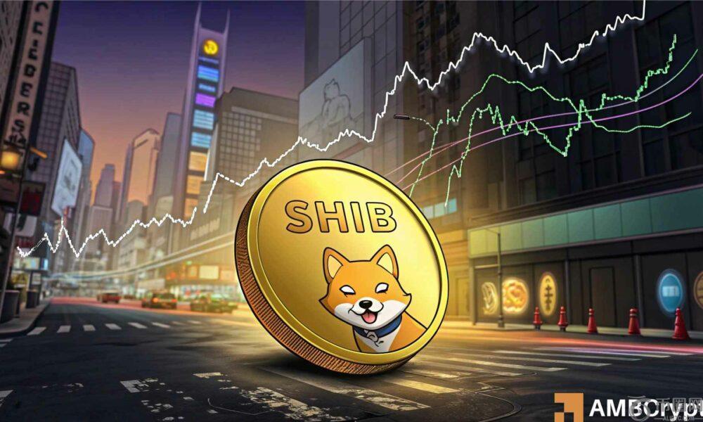 柴犬巩固——牛市还是熊市，谁将赢得这一轮