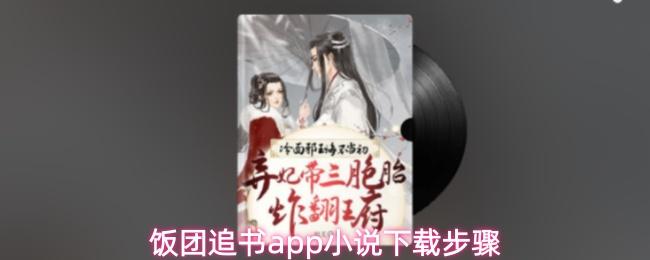 饭团追书app小说下载步骤