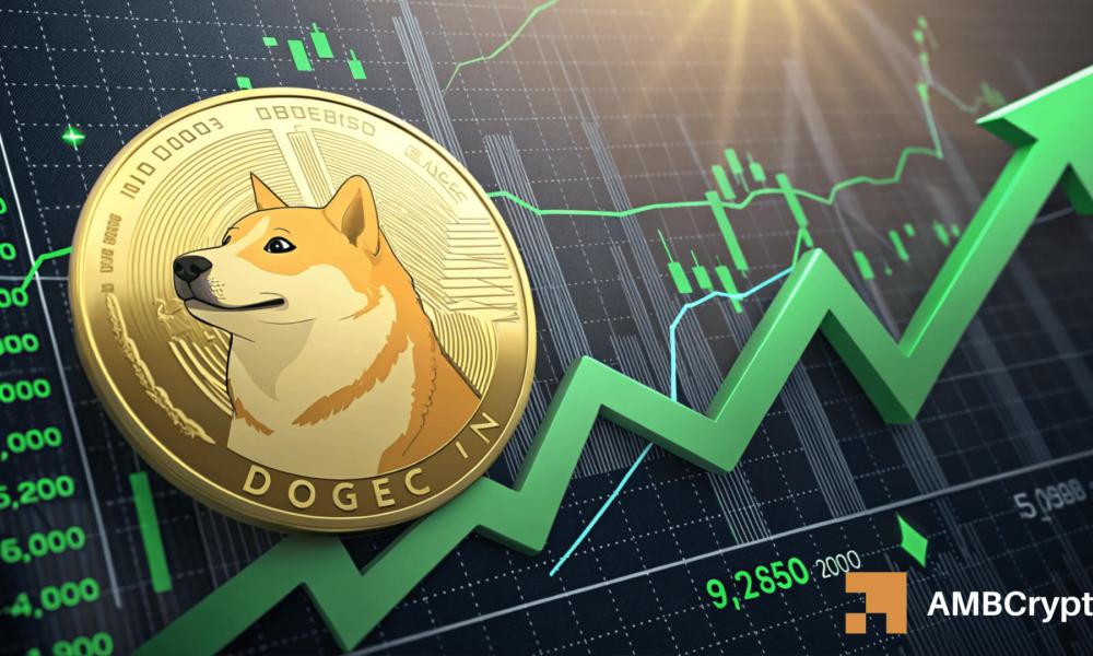 狗狗币：为何本轮周期狗狗币能够迎来迄今为止最持久的反弹