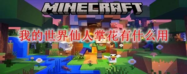 我的世界仙人掌花有什么用