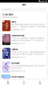 怎么查看椿和小说的分类