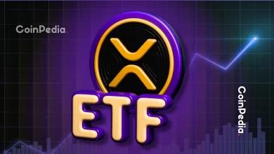ETF 上线后 XRP 价格走势如何 分析师称“涨势或将结束”
