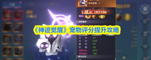 神迹觉醒 宠物评分提升攻略