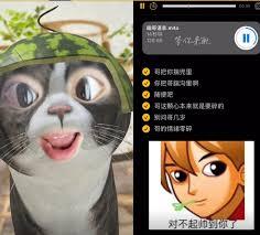 颗秒网络热梗是什么含义