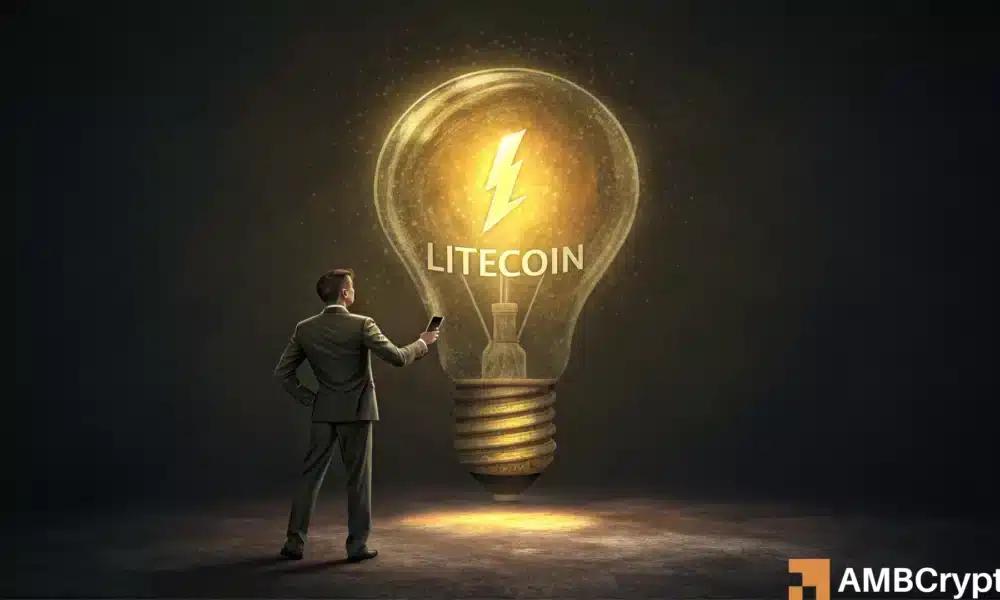 莱特币：LTC 可能引领第四季度山寨币涨势的三大原因
