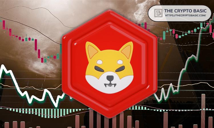 柴犬：分析师称，目前超卖水平将催生一些大赢家