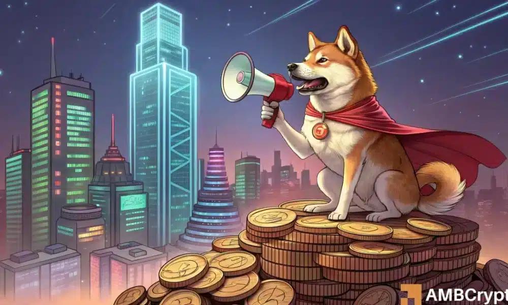 柴犬盗窃400万美元事件引发“柴犬欠你”追讨计划——详情