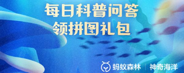 以下哪种海洋哺乳动物潜水时间更长