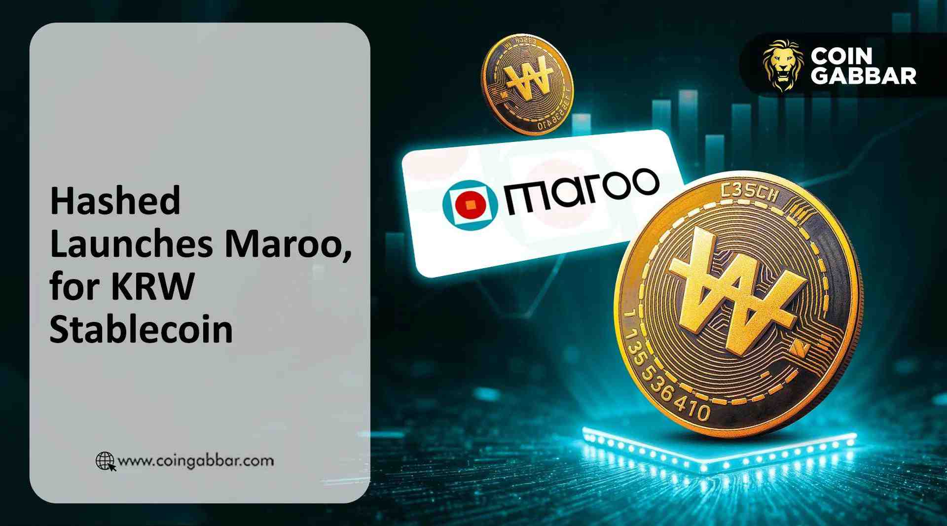 Hashed 揭示了 Maroo，韩国的韩元主权 Layer 1 区块链