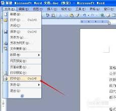 如何在Word中选择特定页面进行打印
